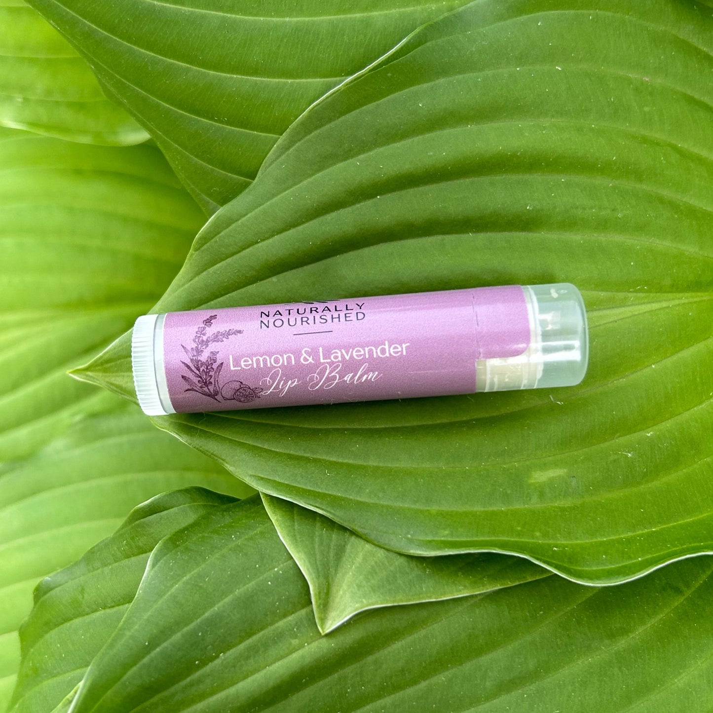 Lemon Lavender Lip Balm